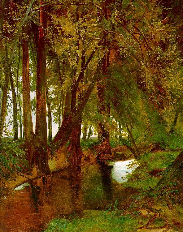 Charles Blechen Woodland with Brook Germany oil painting art